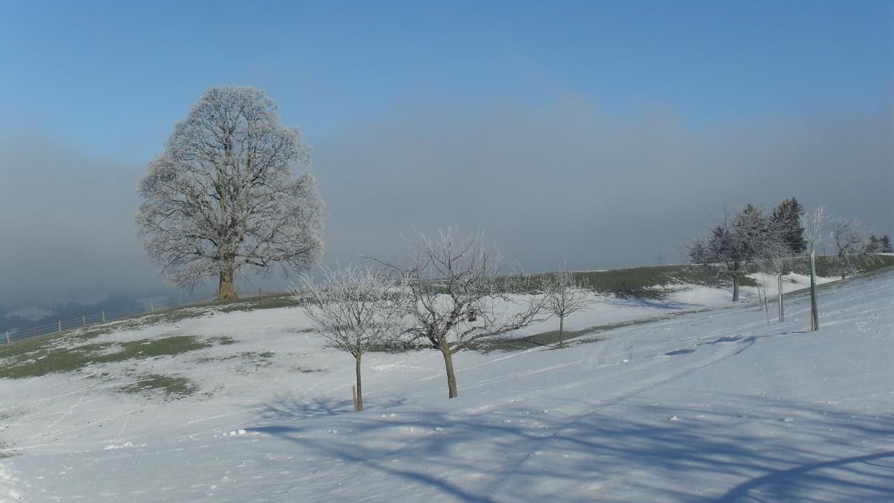 Photo of Others in Hemberg