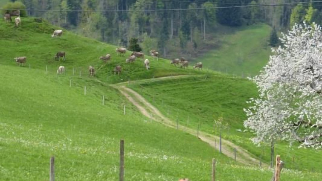 Photo of Others in Hemberg
