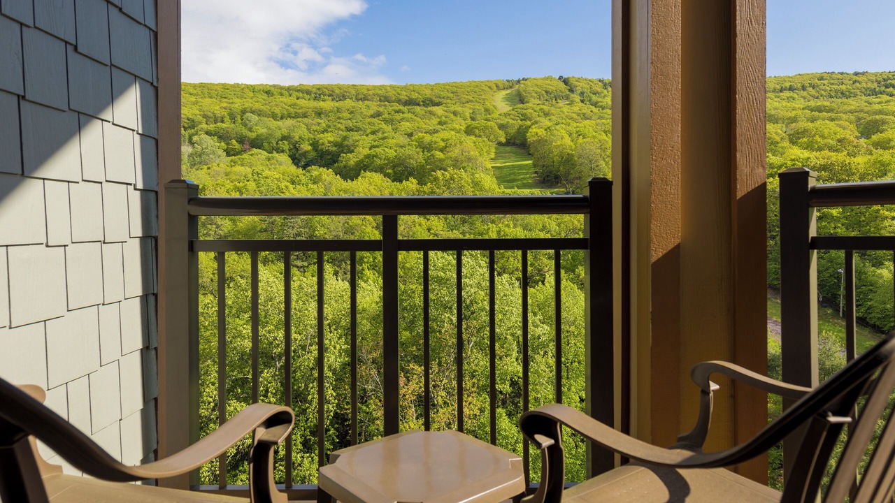 Photo of Patio Balcony in Tannersville