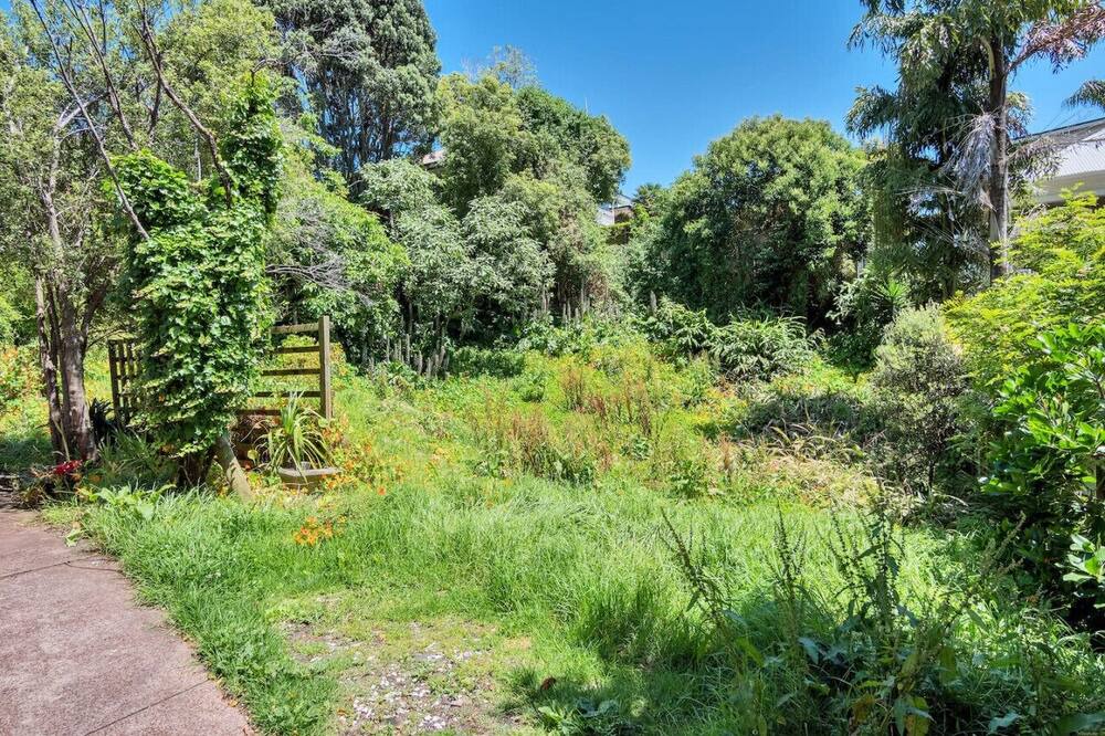 Photo of Others in Ponsonby