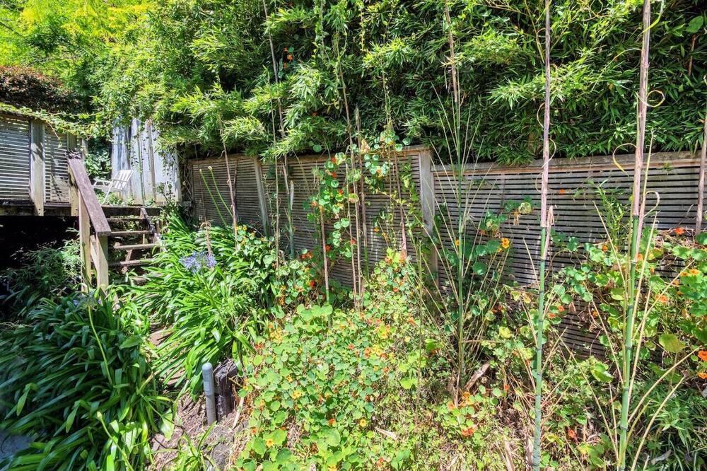 Photo of Others in Ponsonby