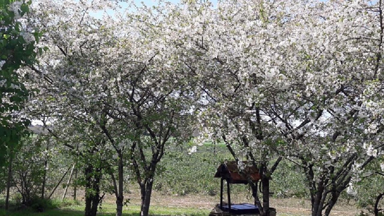 Photo of Outdoor in La Chapelle-Blanche-Saint-Martin