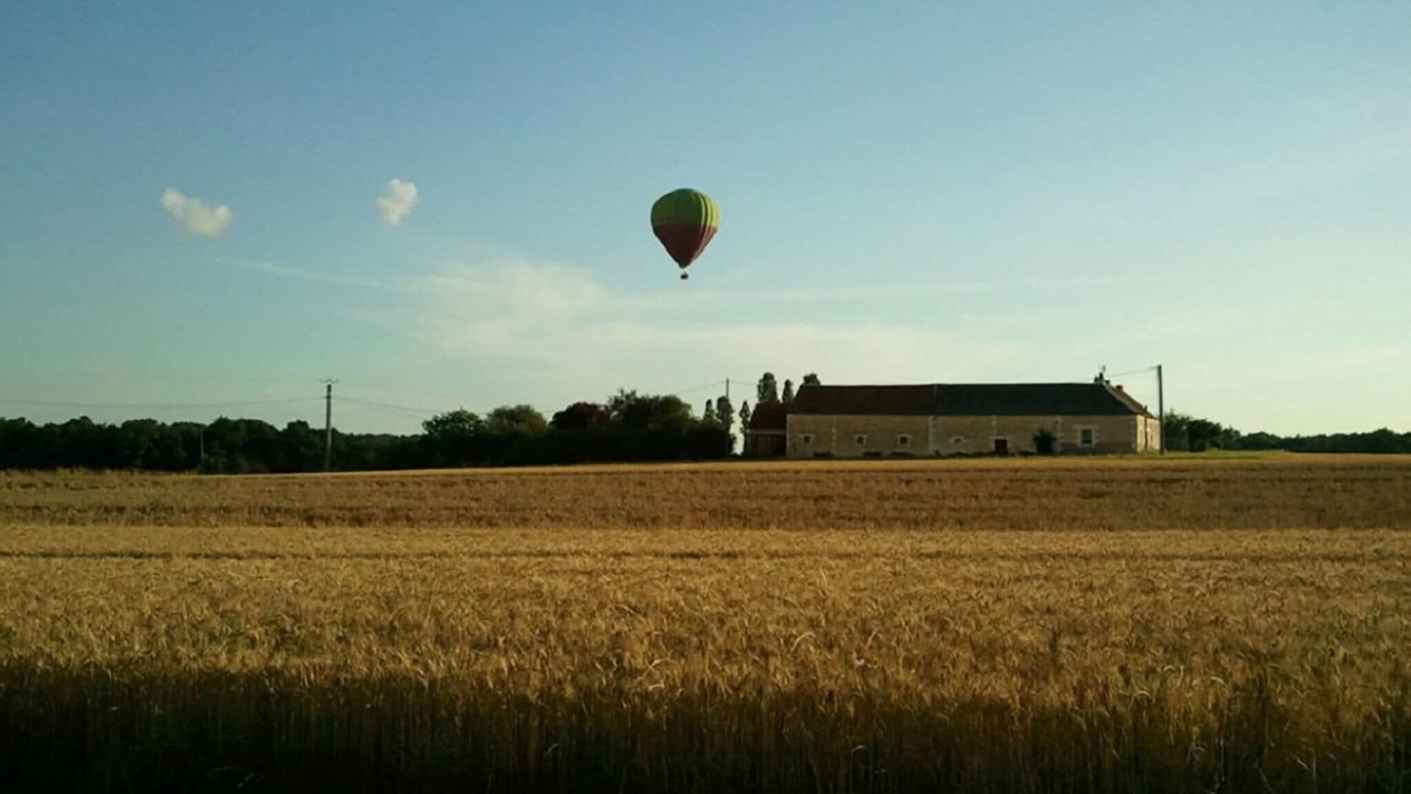 Photo of Others in La Chapelle-Blanche-Saint-Martin