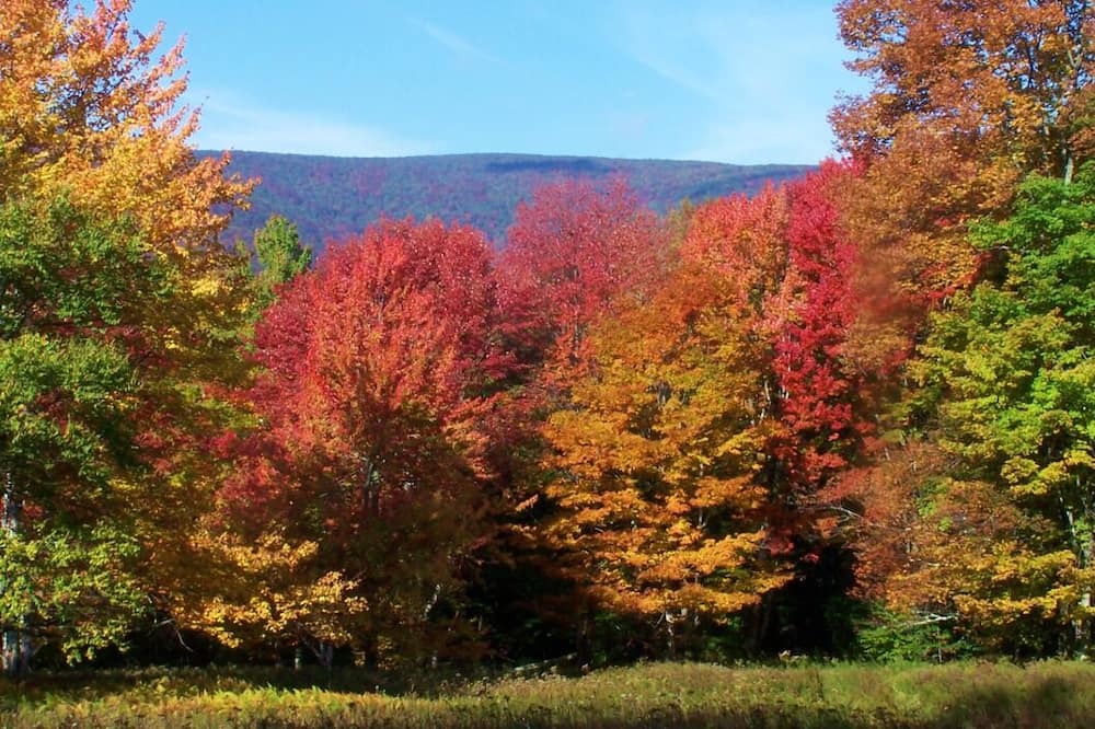 Photo of Outdoor in Oliverea