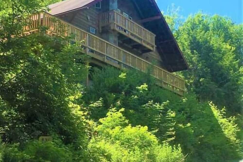 Photo of Outdoor in Oliverea