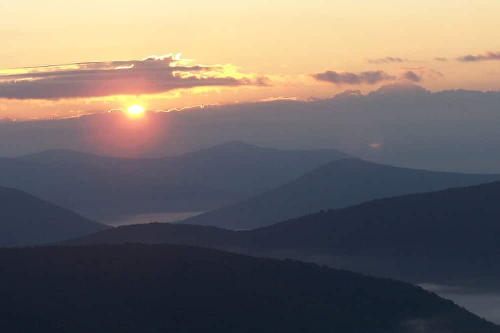 Photo of Others in Oliverea