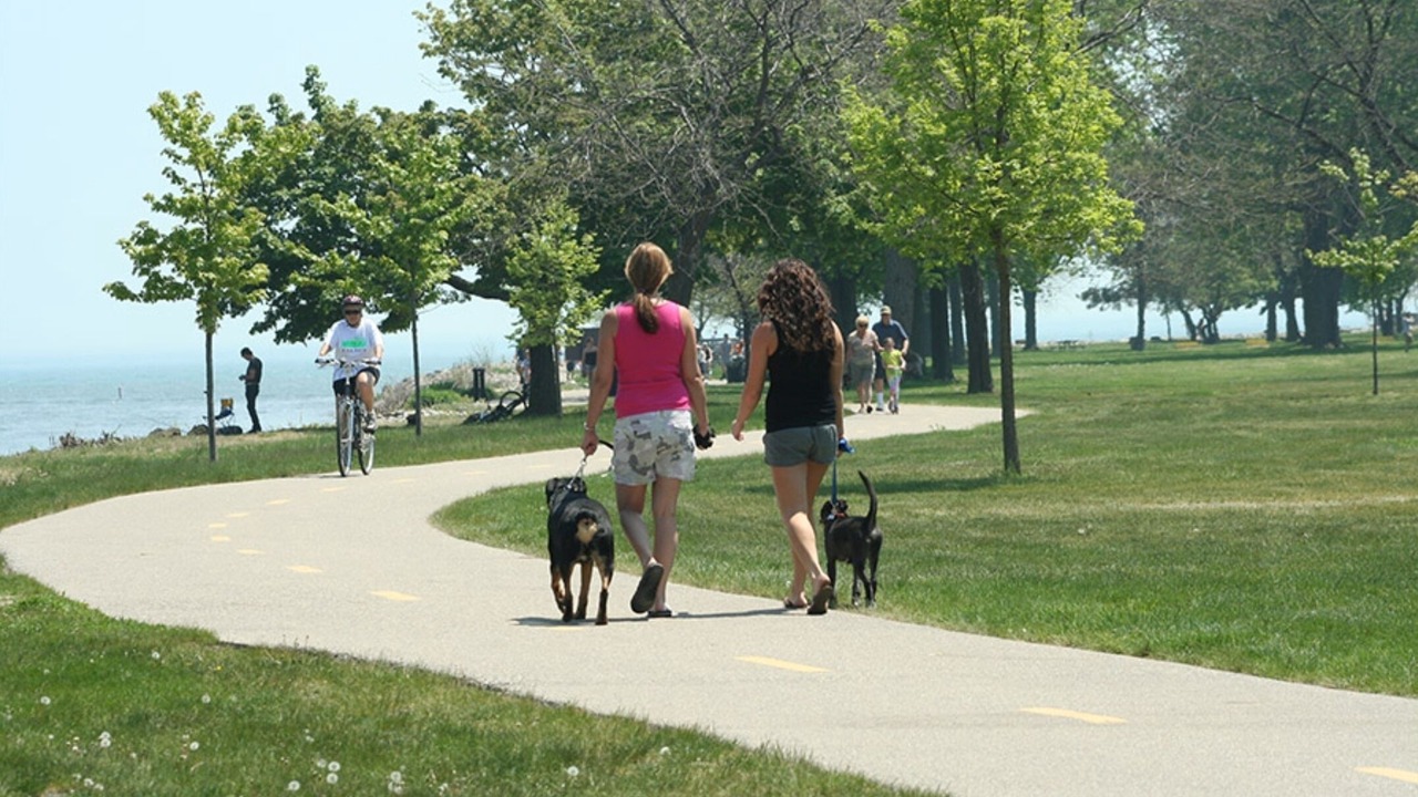Photo of Others in Mount Clemens