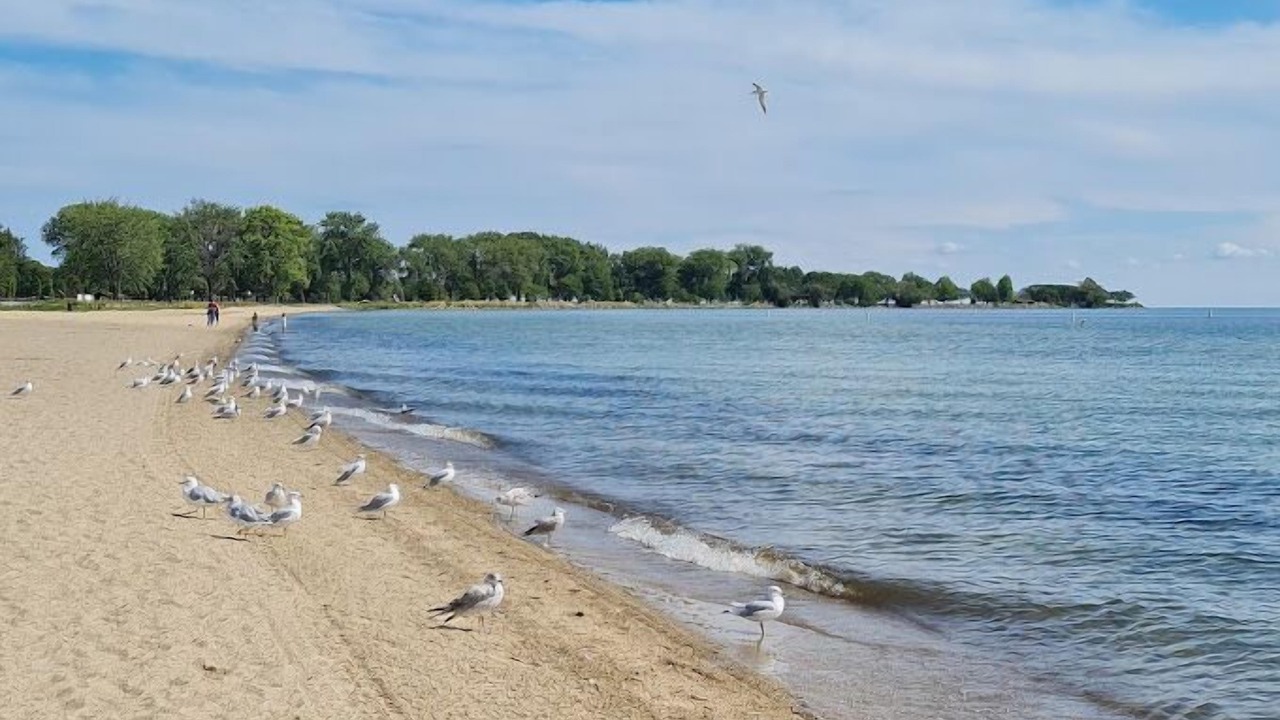 Photo of Others in Mount Clemens
