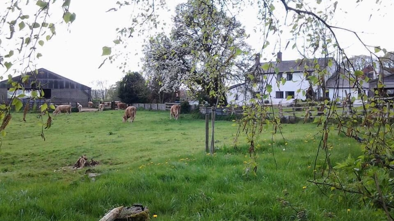 Photo of Outdoor in New Forest District