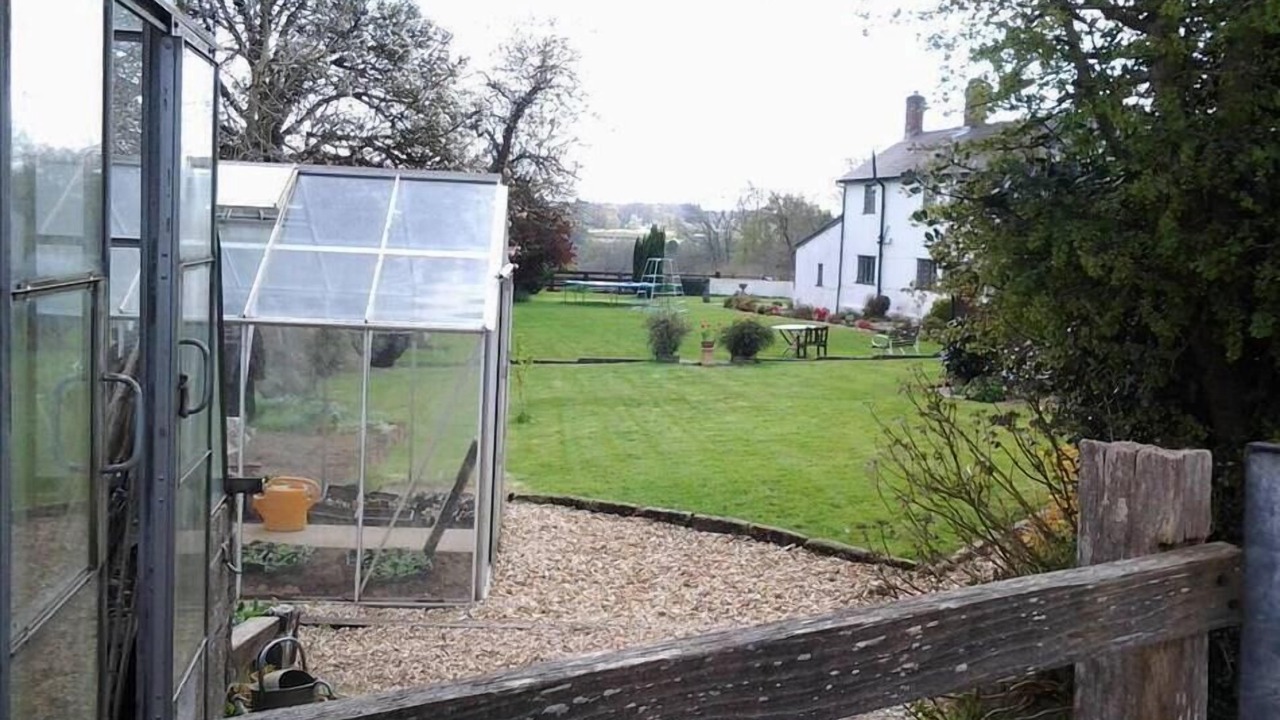 Photo of Outdoor in New Forest District