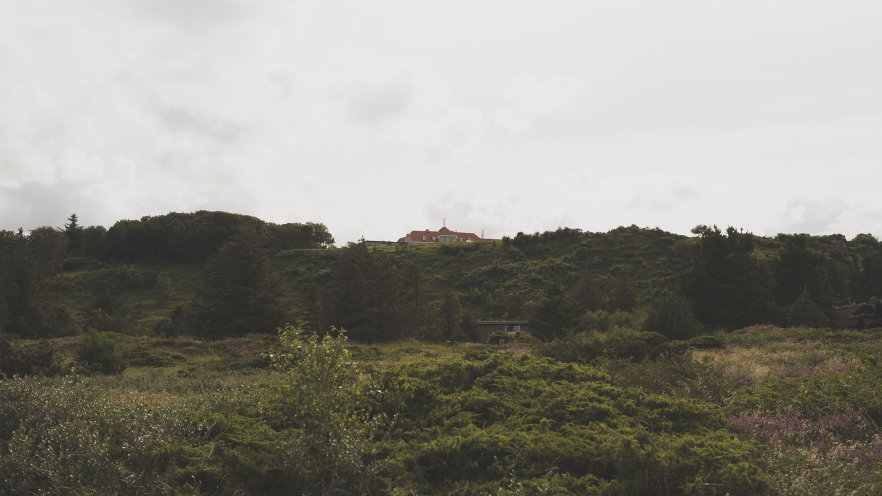 Photo of Others in Slette Strand