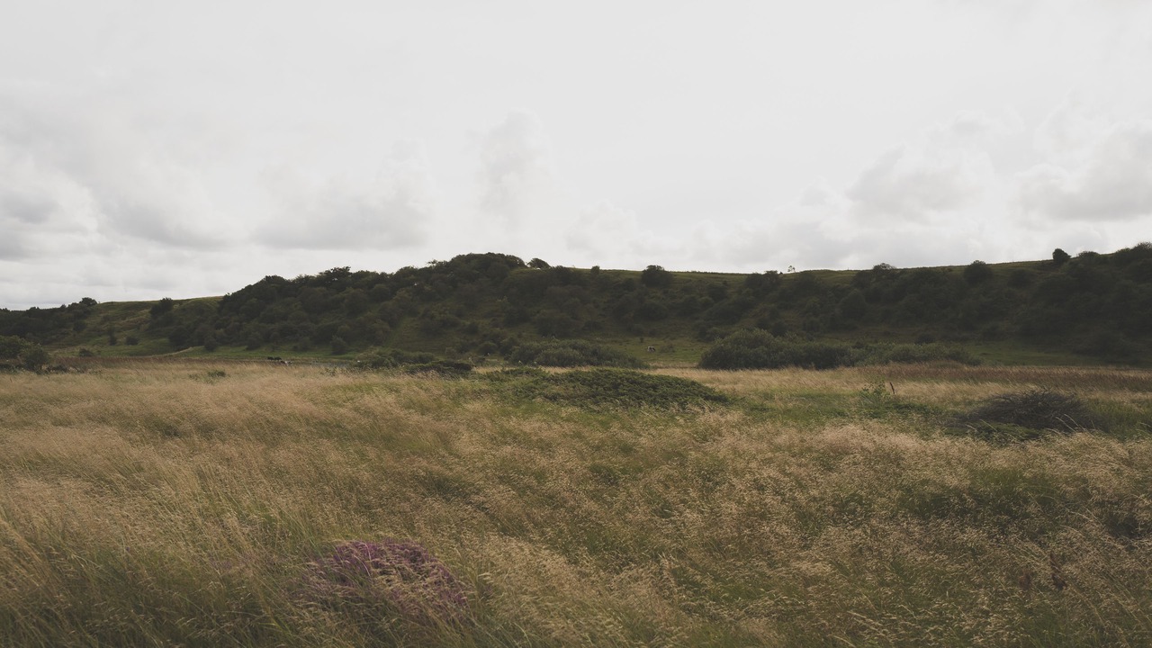 Photo of Others in Slette Strand