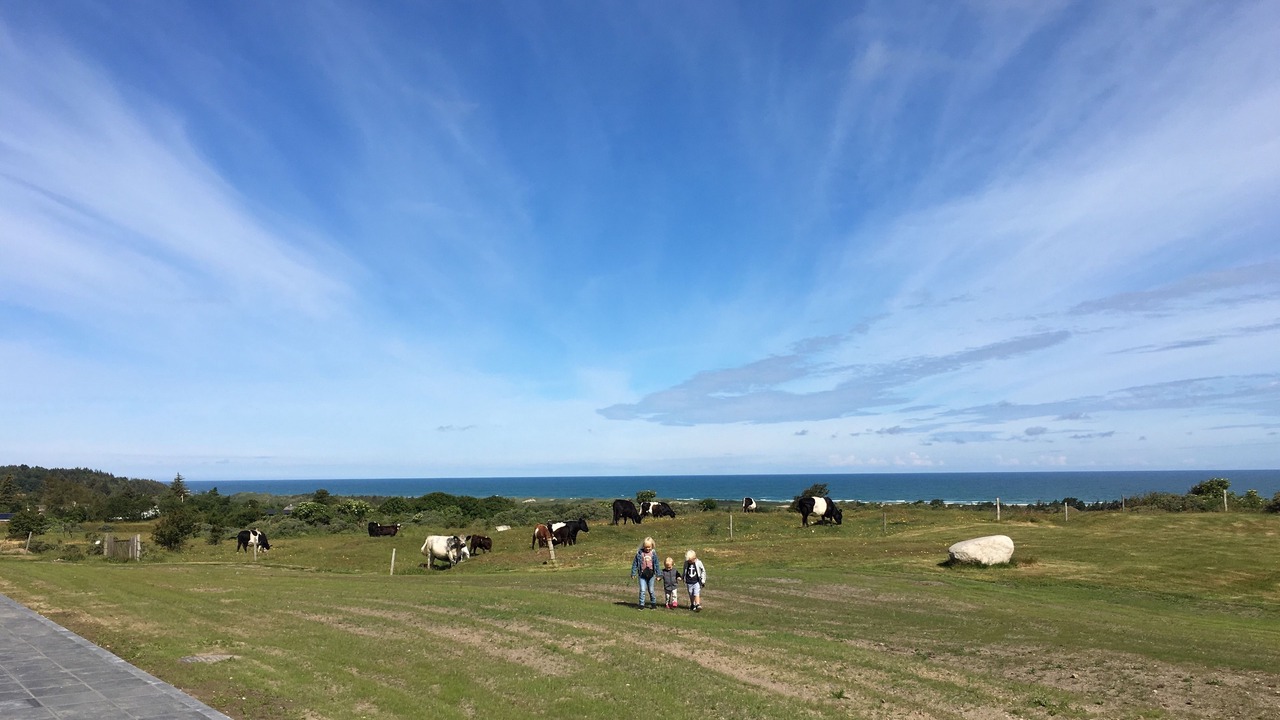 Photo of Outdoor in Slette Strand