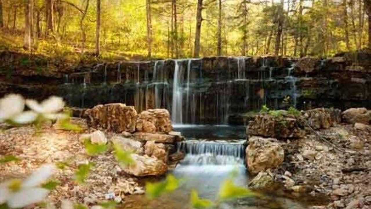 Photo of Outdoor in Branson Theater District