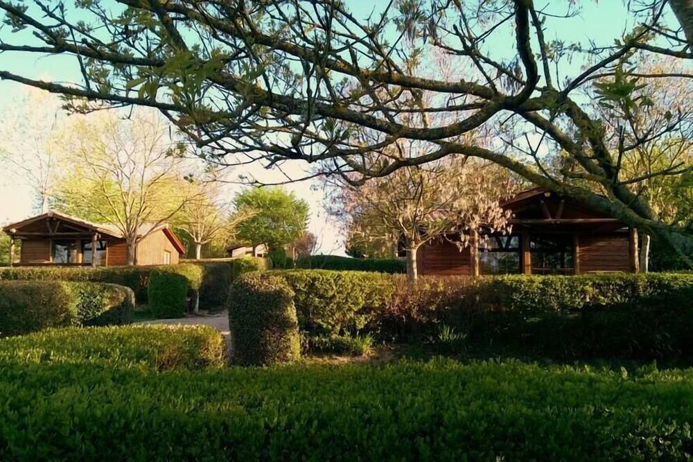 Photo of Outdoor in Cassagnabere-Tournas