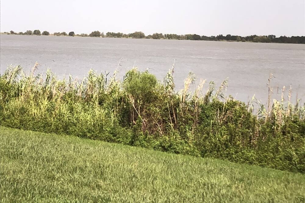Photo of Others in Boothville-Venice