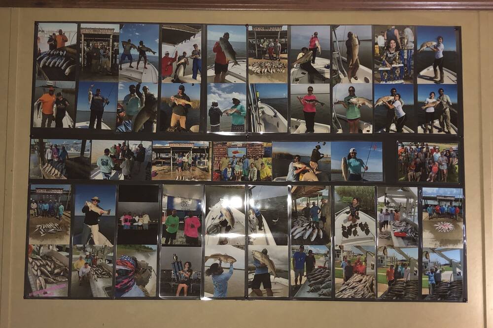 Photo of Others in Boothville-Venice