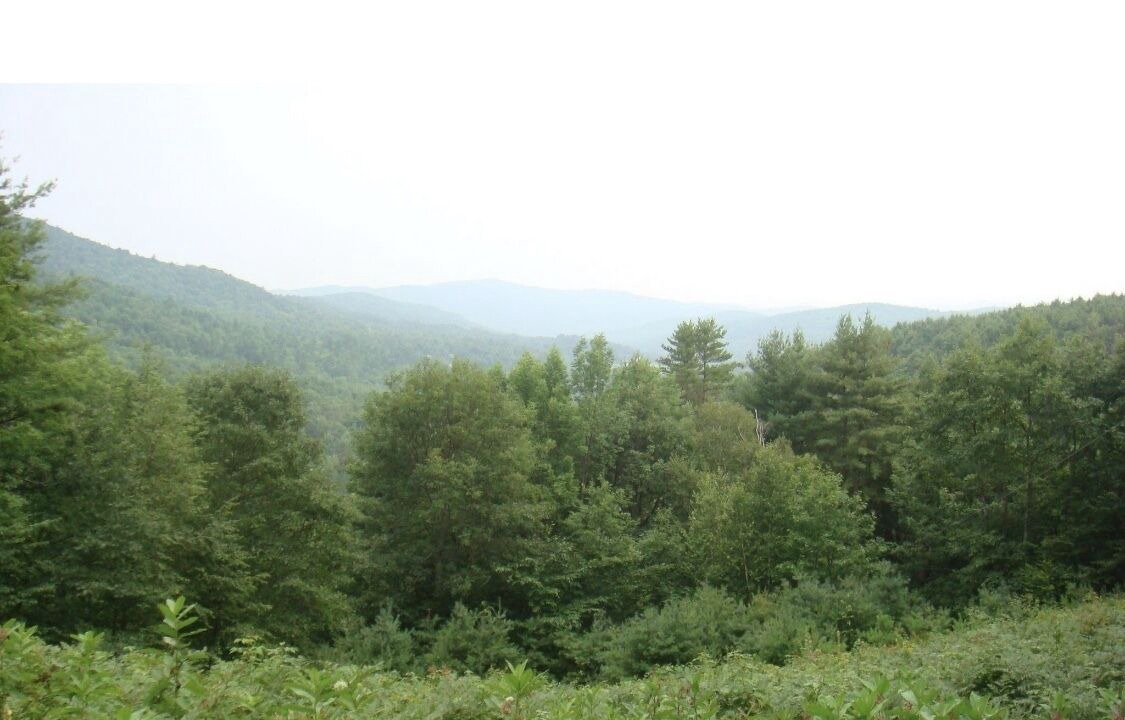 Photo of Outdoor in West Fairlee