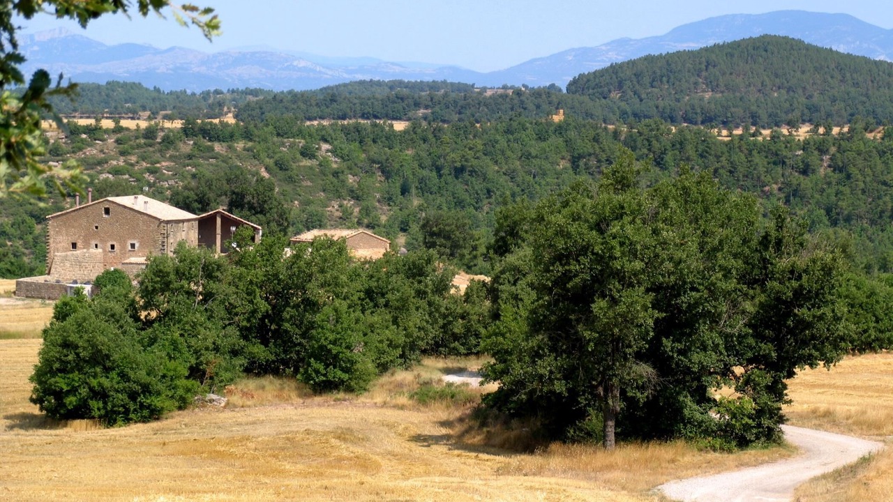 Photo of Outdoor in Llobera