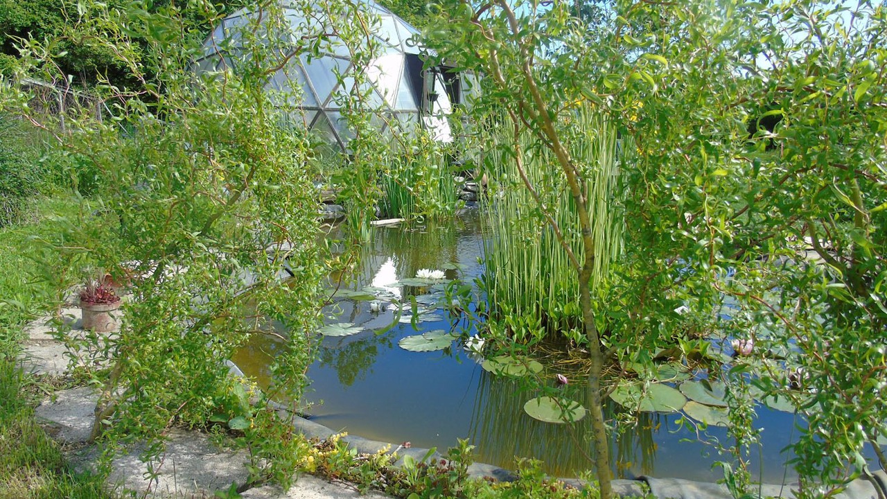 Photo of Outdoor in Wassy