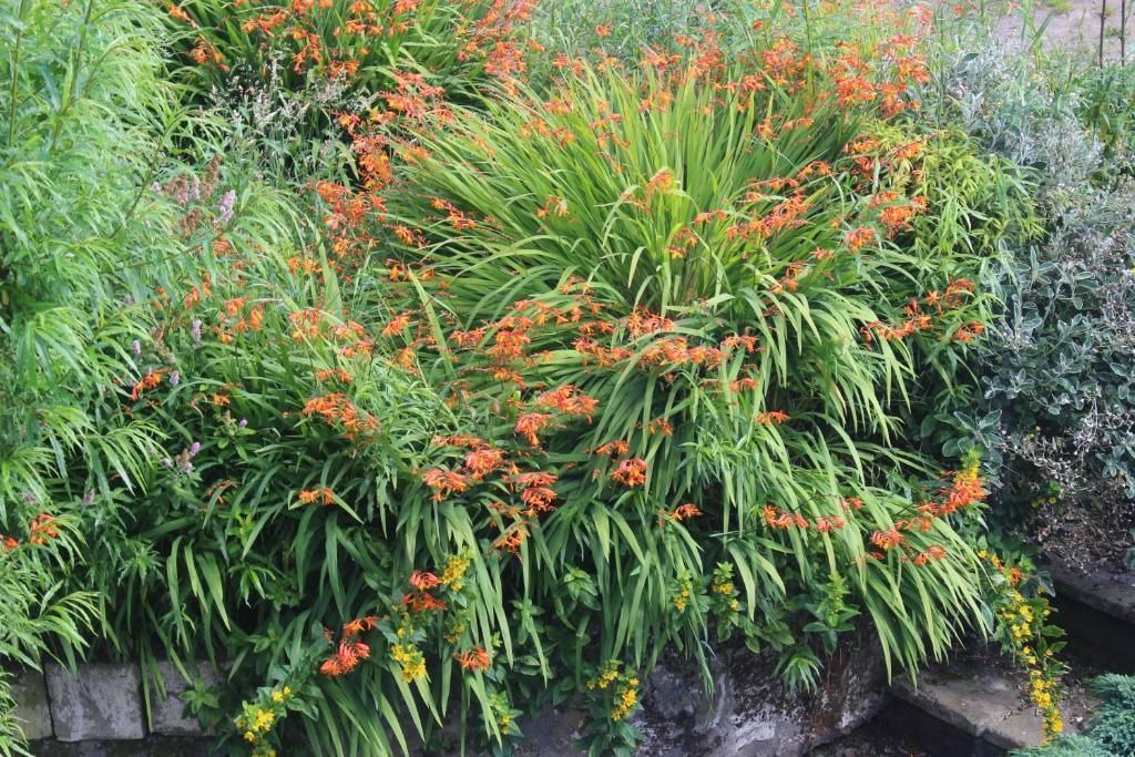 Photo of Outdoor in Cross Hands