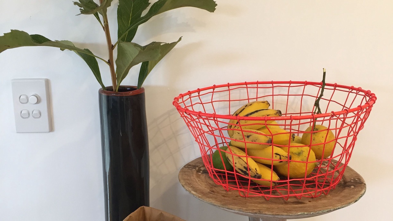 Photo of Others in Mullumbimby