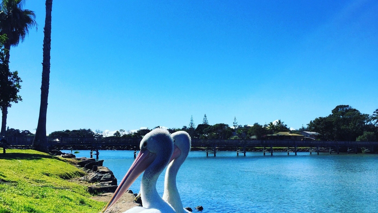 Photo of Others in Mullumbimby