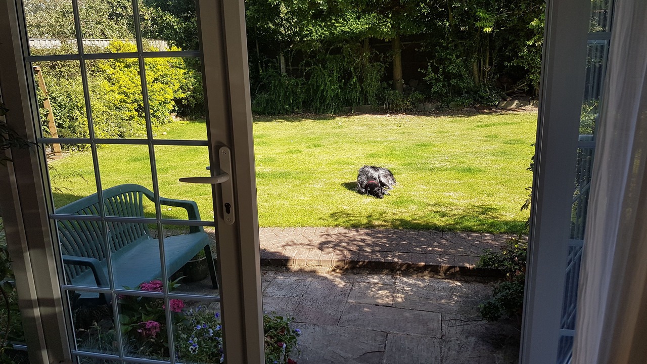 Photo of Bedroom in Norwich