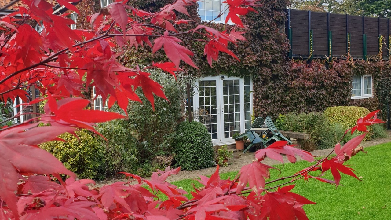 Photo of Outdoor in Norwich