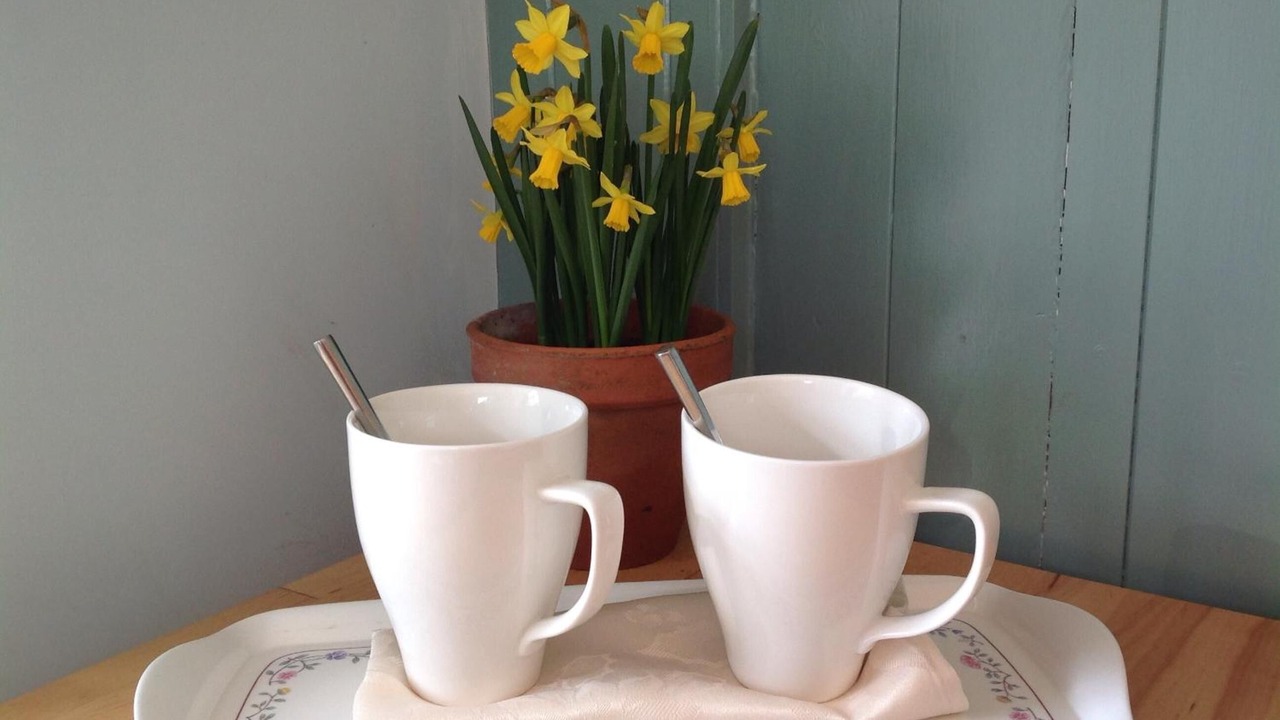 Photo of Kitchen in Norwich