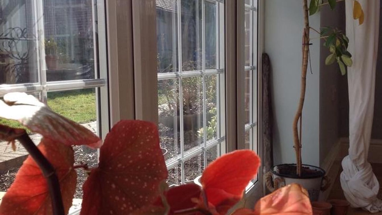 Photo of Others in Norwich