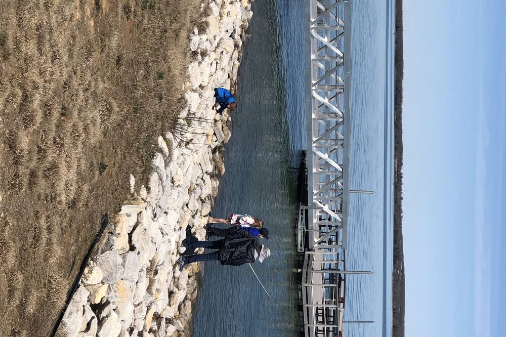 Photo of Others in Ardmore