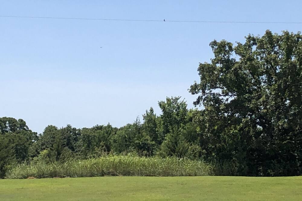Photo of Others in Lincoln County