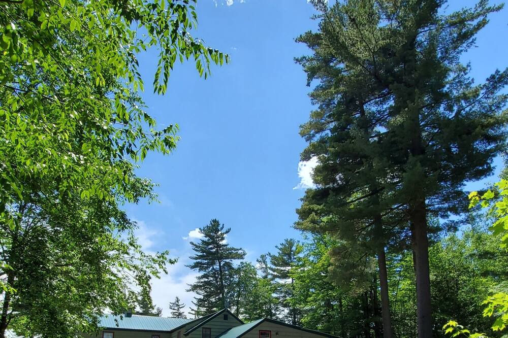 Photo of Outdoor in Star Lake