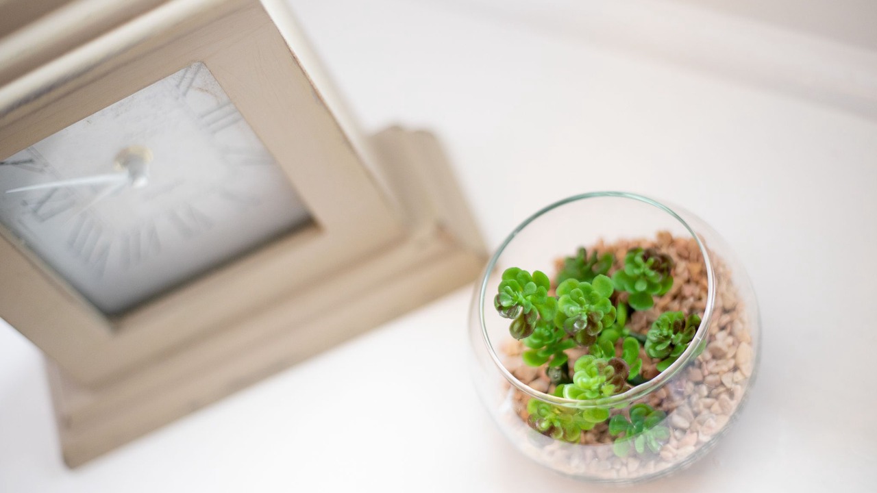 Photo of Others in Perth