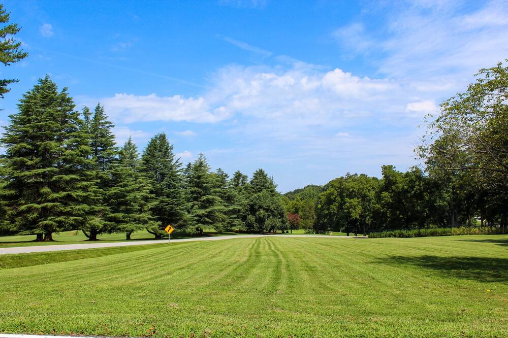 Photo of Outdoor in Clemmons