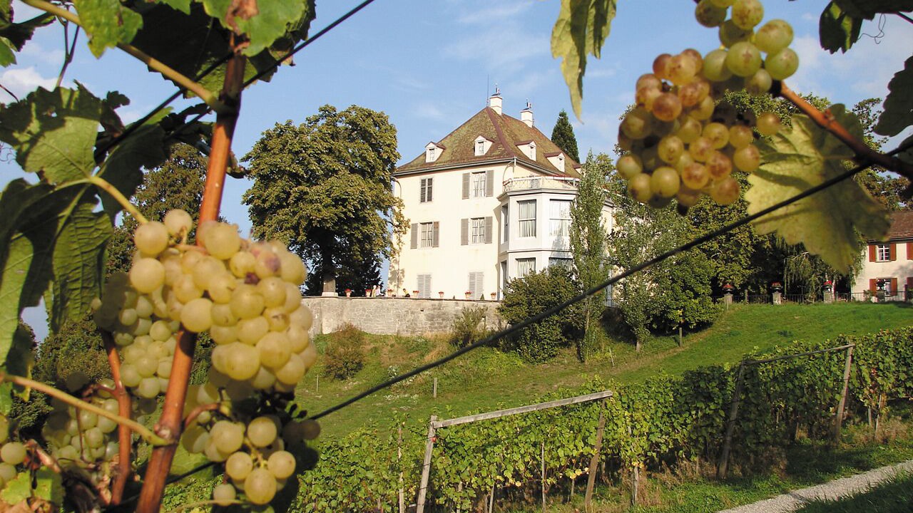 Photo of Others in Mannenbach