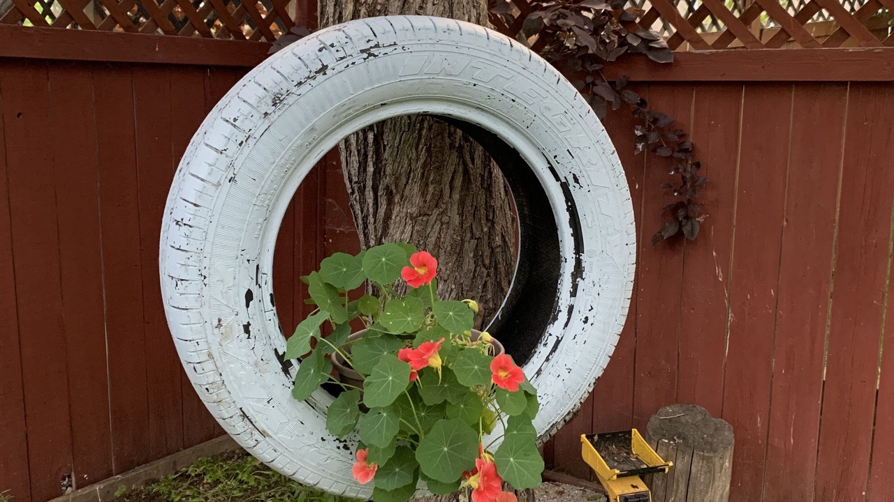 Photo of Outdoor in Hawkwood