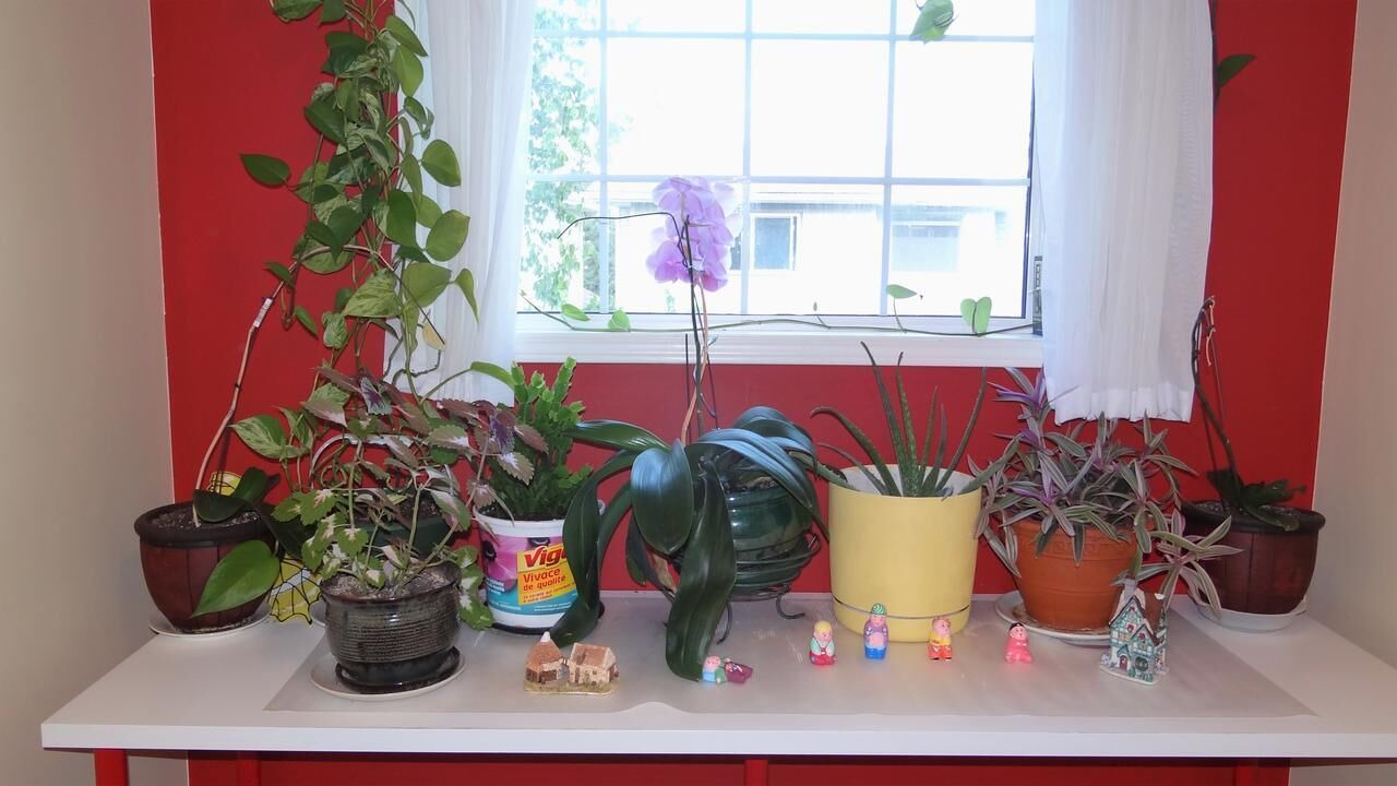 Photo of Bedroom in Hawkwood