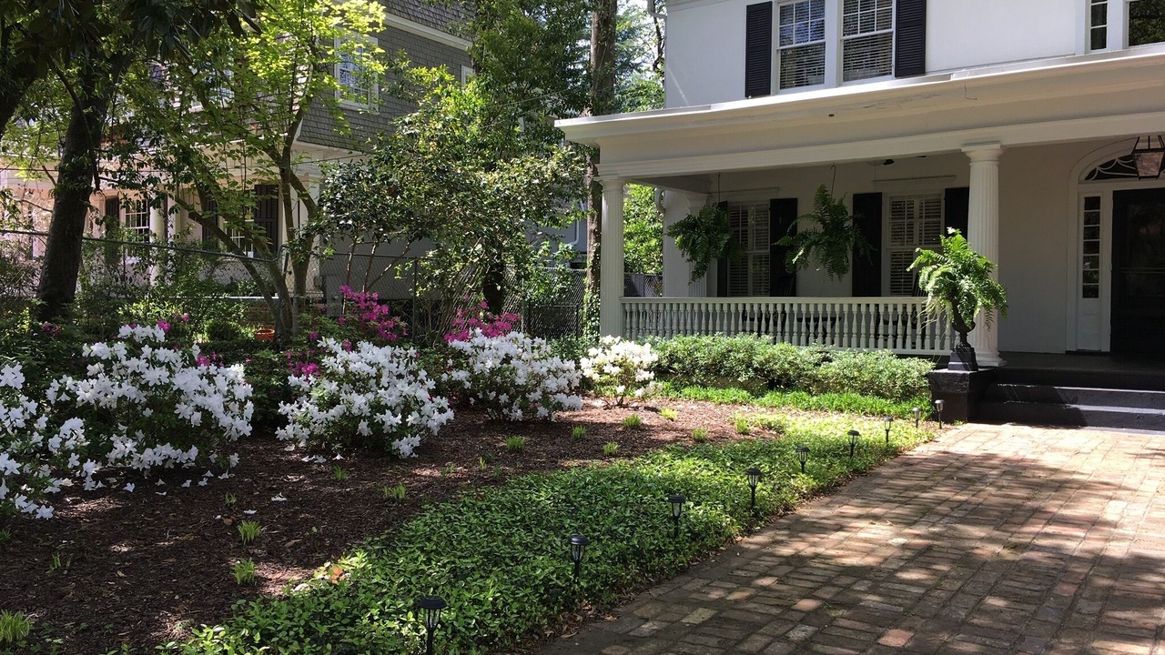 Photo of Outdoor in Summerville