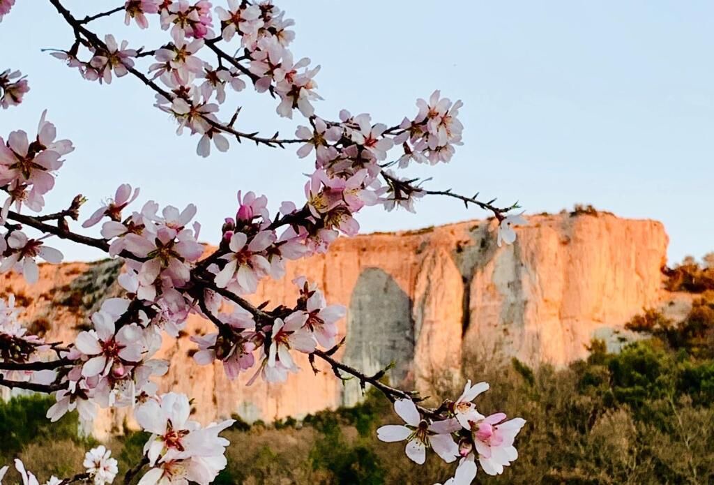 Photo of Outdoor in Lioux
