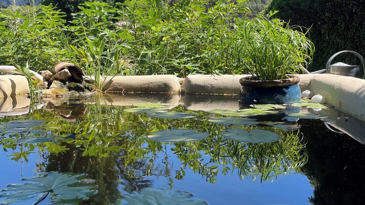 Photo of Outdoor in Lioux
