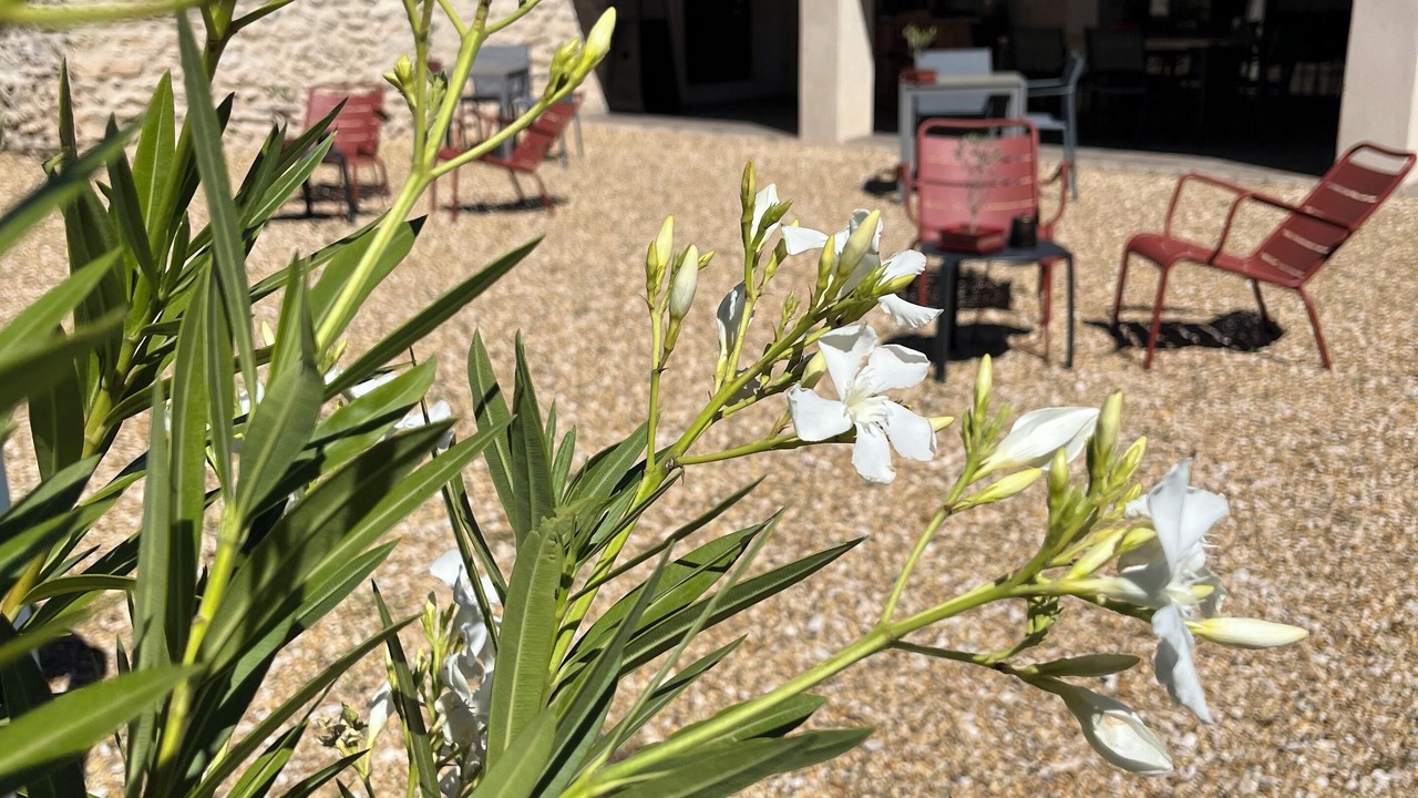 Photo of Outdoor in Lioux