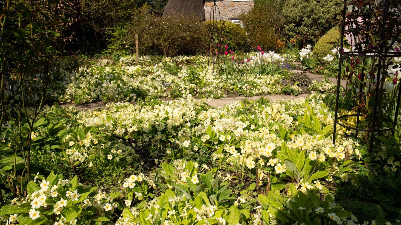 Photo of Outdoor in Cricket Malherbie
