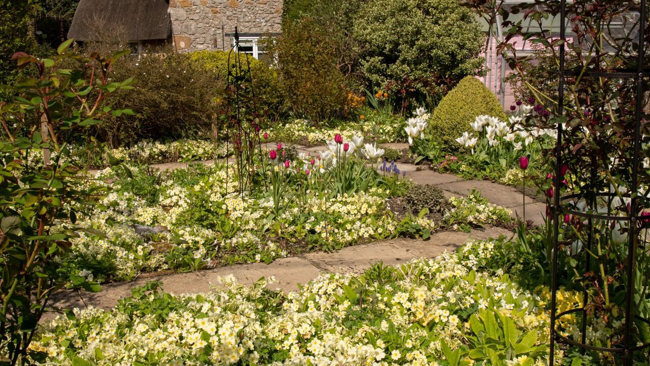 Photo of Outdoor in Cricket Malherbie