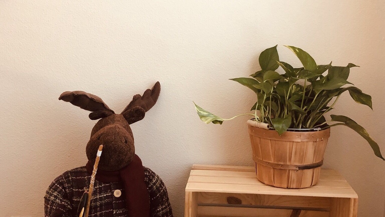 Photo of Others in Carver