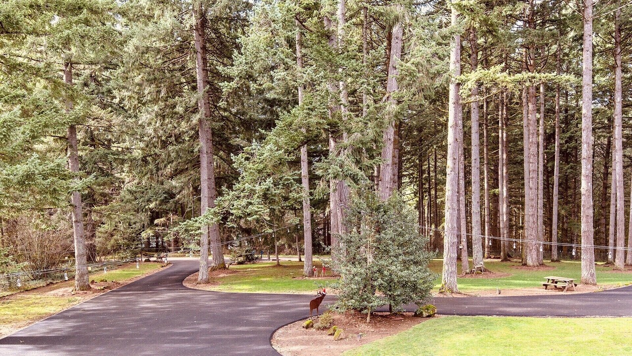 Photo of Outdoor in Carver