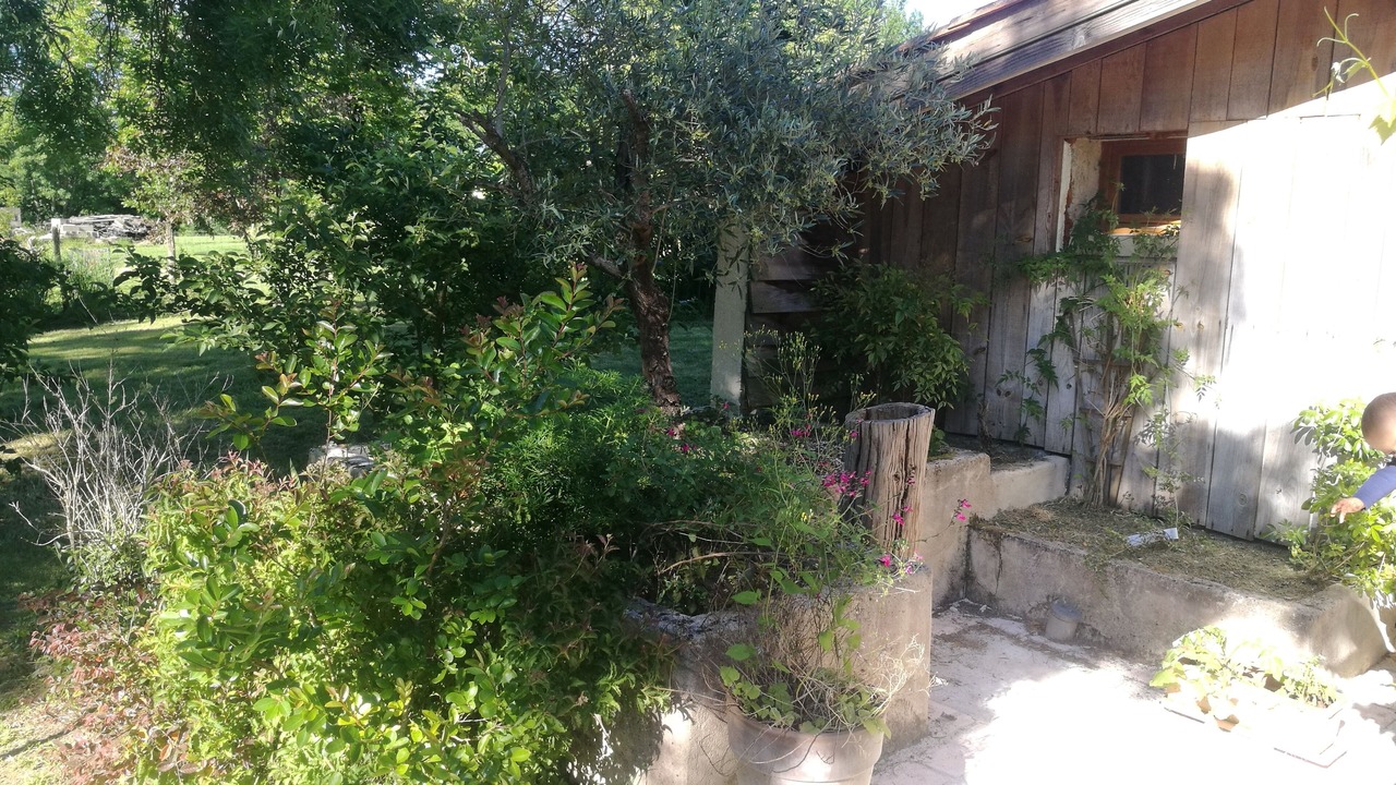 Photo of Outdoor in Petit-Palais-et-Cornemps