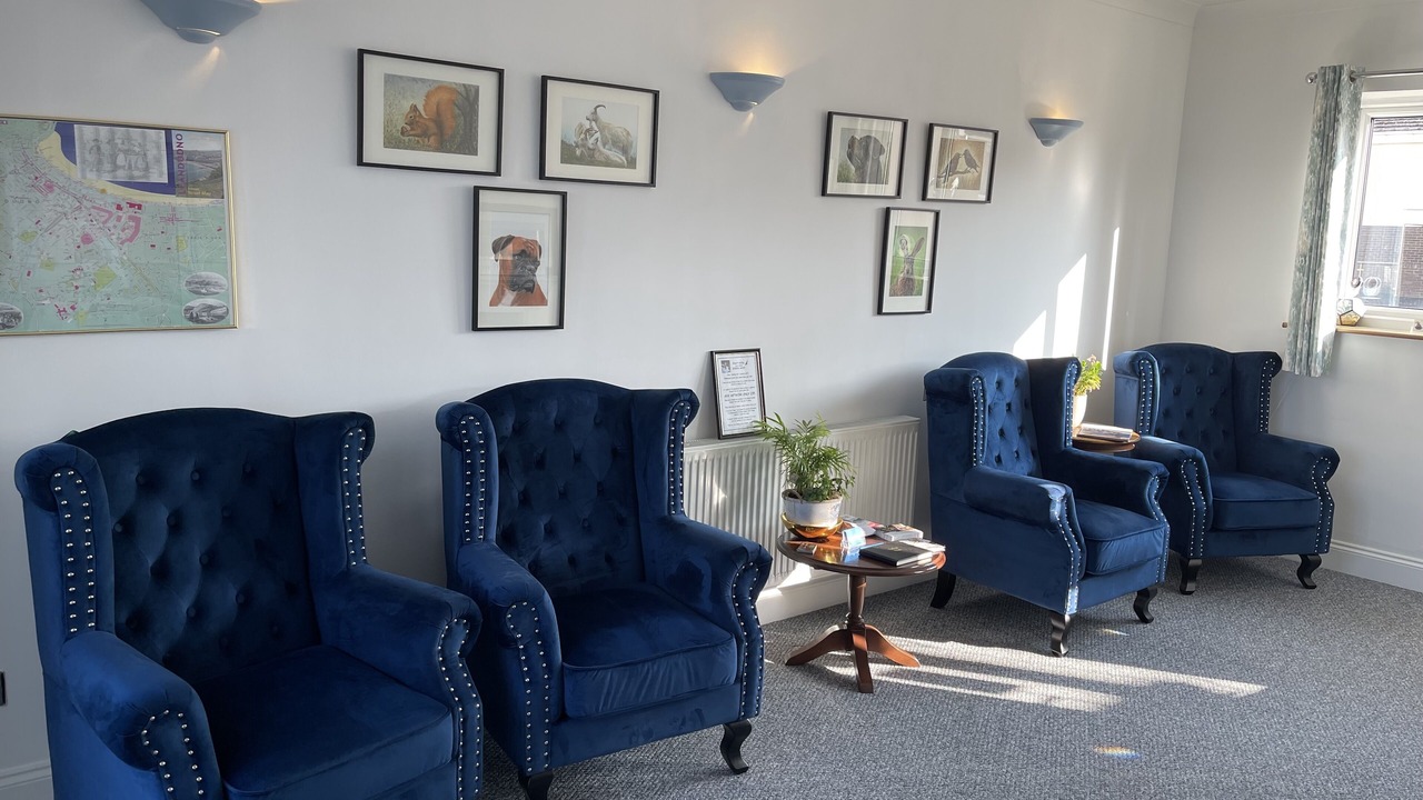 Photo of Others in Llandudno