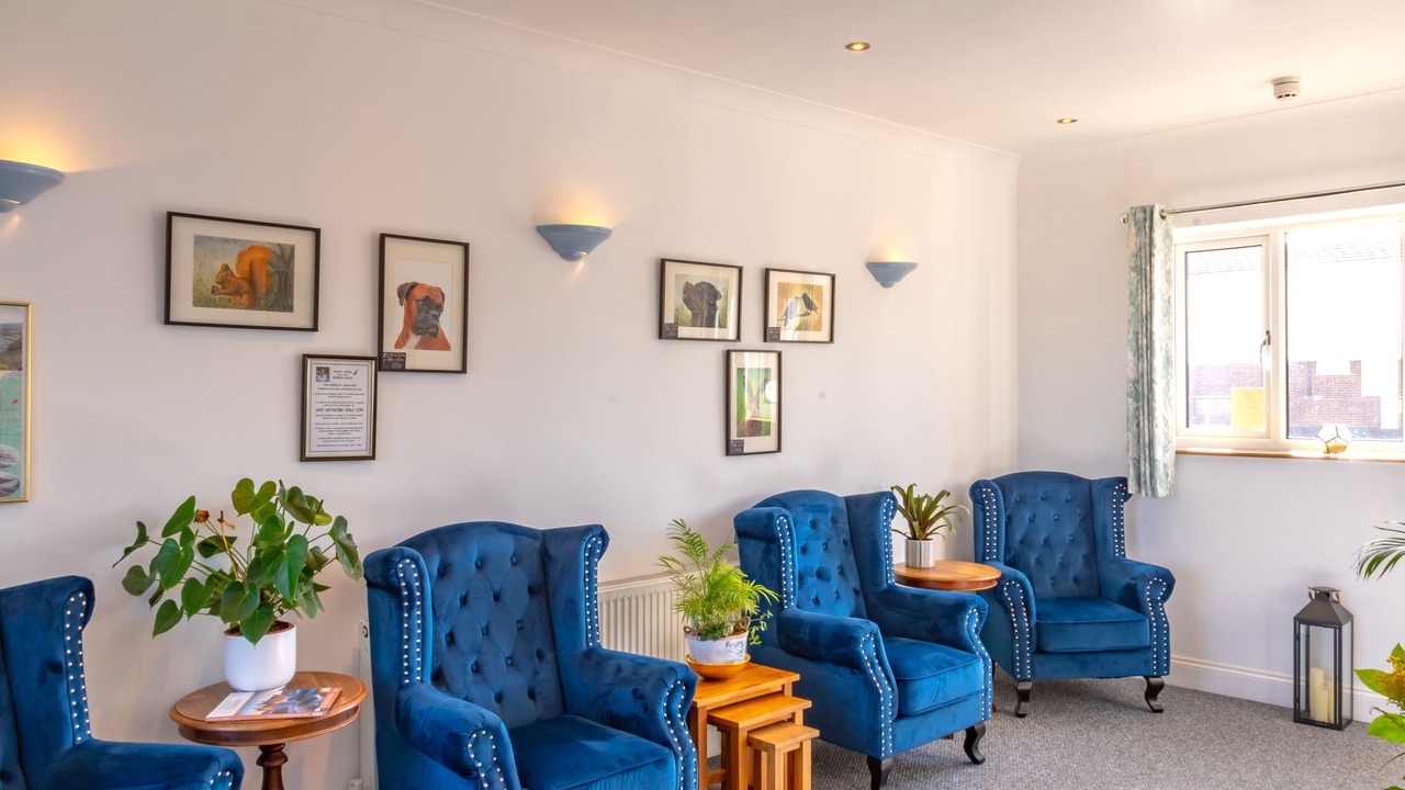 Photo of Others in Llandudno